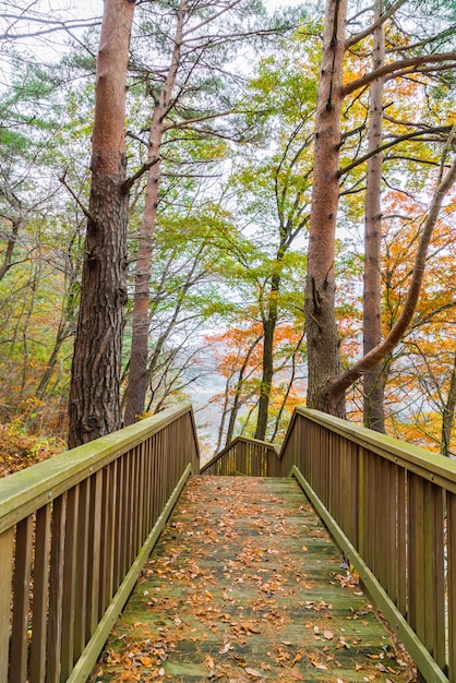 escalera de madera en el parque