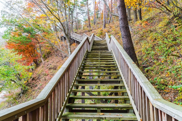 escalera de madera en el parque