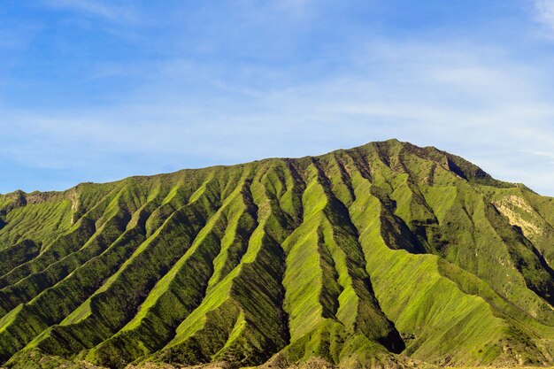 Escalera de montaña verde en un día soleado