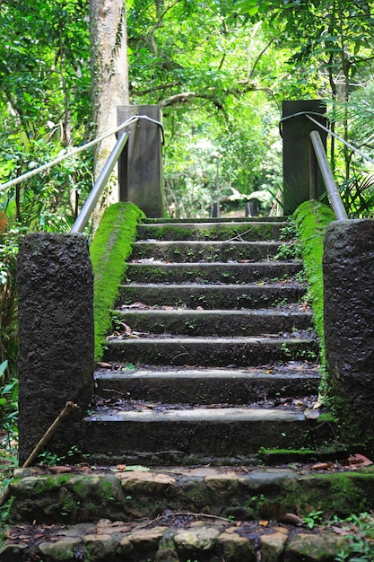 Foto gratuita escalera