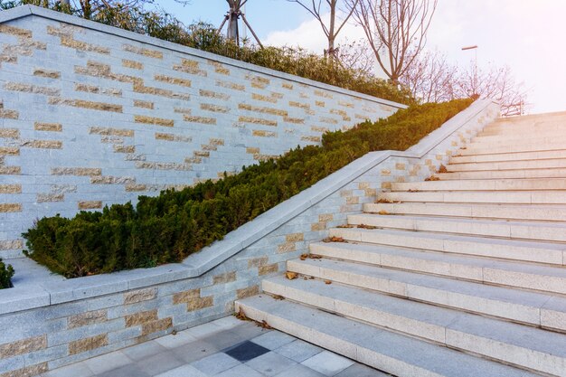 escaleras blancas