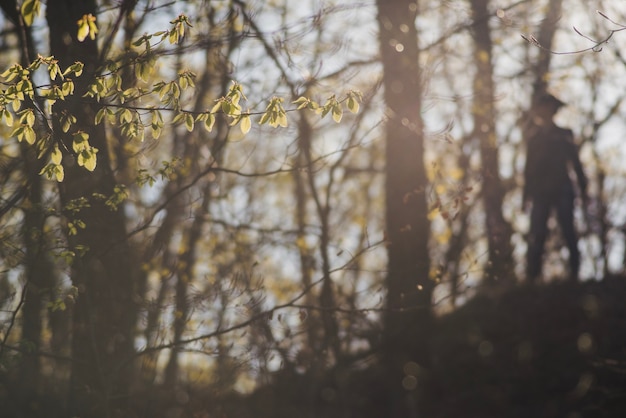 Escena borrosa de excursionista en el bosque