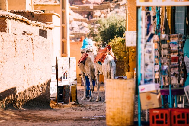 Escena de calle en marrakesh