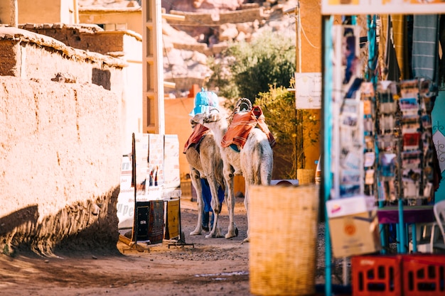 Escena de calle en marrakesh