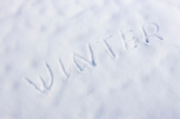 Escena de invierno con nieve bodegón