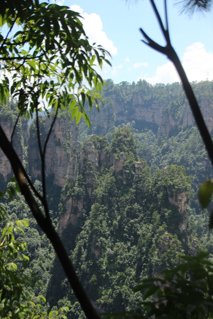 Foto gratuito escena de la naturaleza
