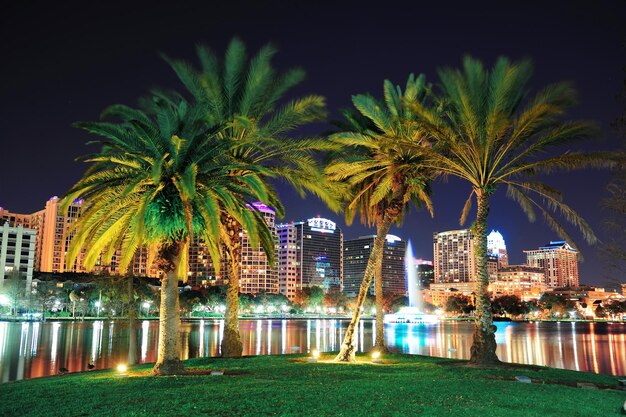 escena de la noche de orlando