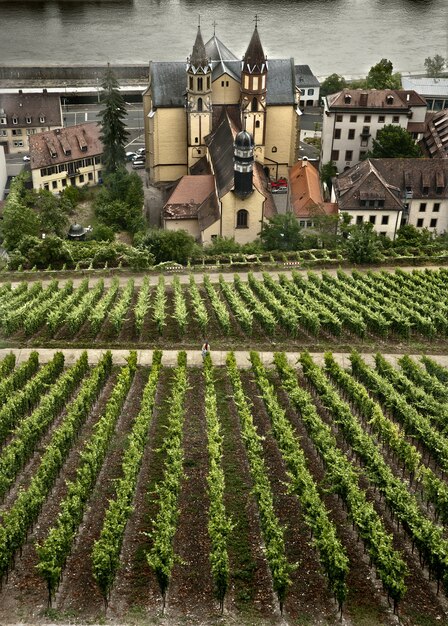 Escena de otoño alrededor de la ciudad bávara de Wurzburg, Alemania