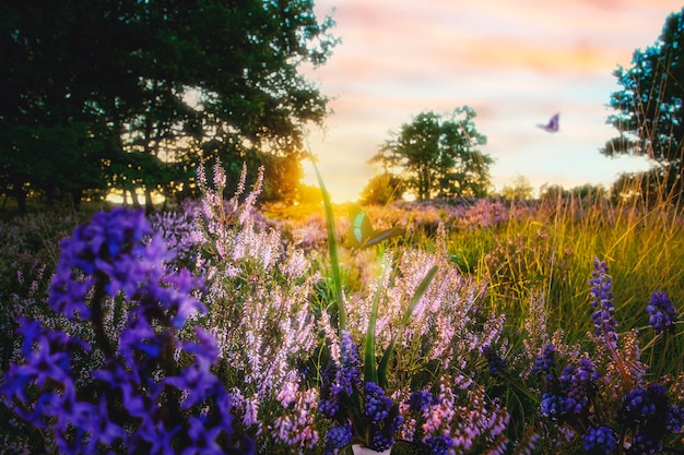 Escena de primavera con flores y mariposas.