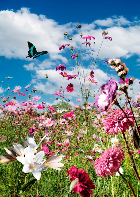 Escena de primavera con flores y mariposas.