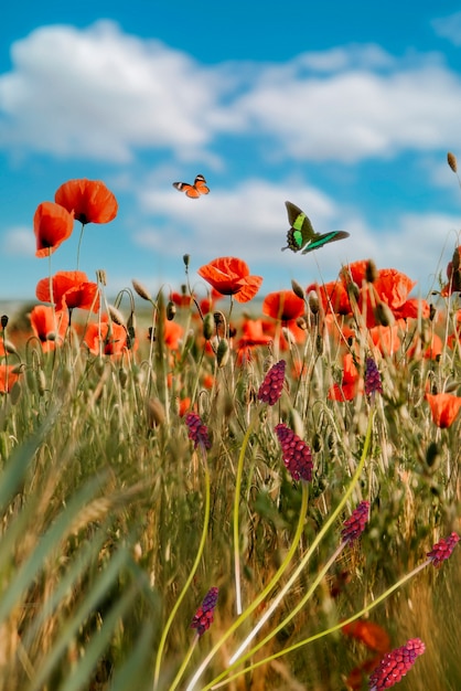 Escena de primavera con flores y mariposas.