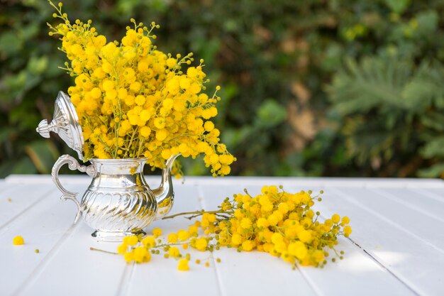 Escena de primavera con tetera llena de flores amarillas