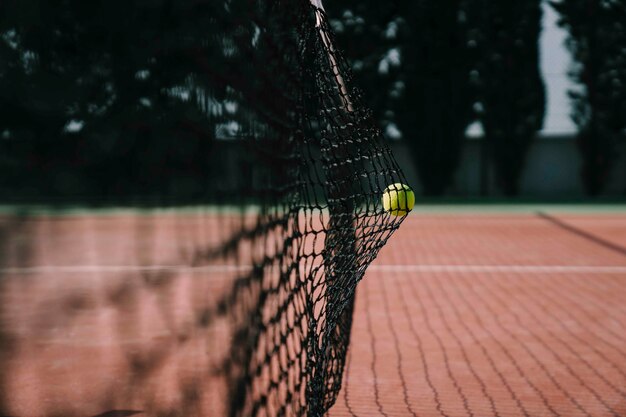 Escena de tenis con red y pelota