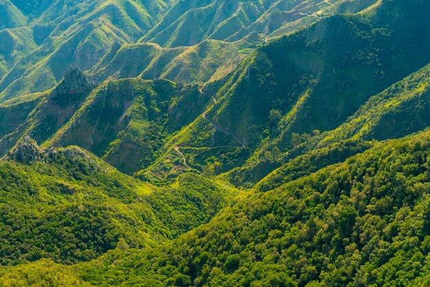 Escénicas montañas cubiertas de bosque y sinuoso camino en el parque rural de Anaga en un día soleado, Tenerife, España