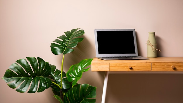 Escritorio de madera con laptop y planta.