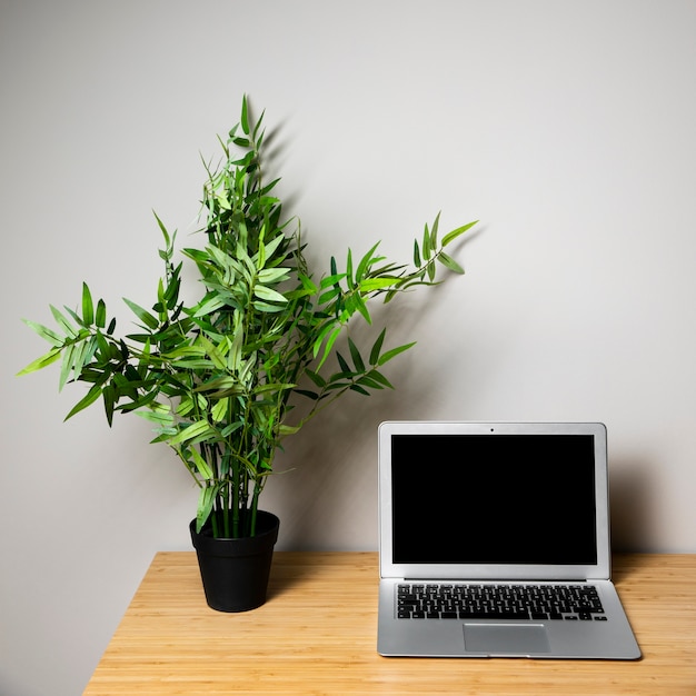 Escritorio de madera con laptop y planta.