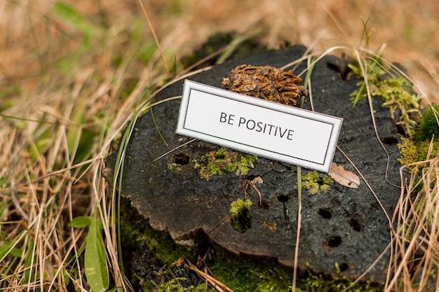 Foto gratuita escritura motivadora en tocón