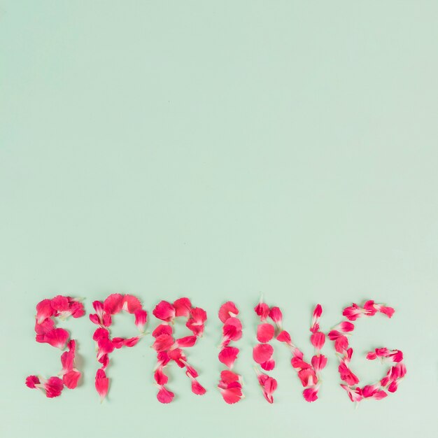 La escritura de primavera de pétalos brillantes
