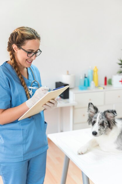 Escritura veterinaria femenina sonriente en el tablero con el perro en la tabla en la clínica