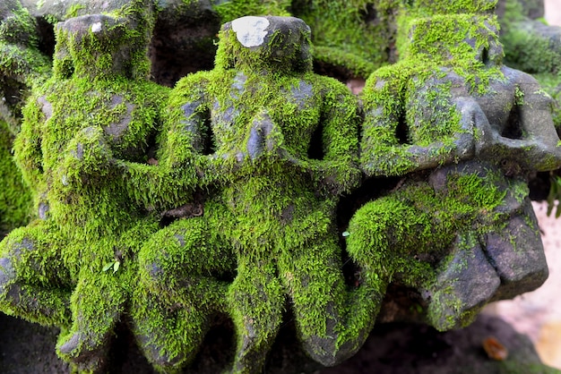 Esculturas de piedra con musgo