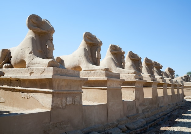 Esfinges de cabeza de cañón en el templo de Karnak