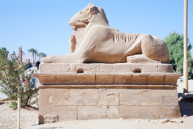 Esfinges de cabeza de cañón en el templo de Karnak