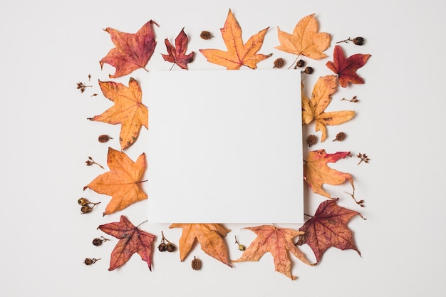 Espacio en blanco de la copia con el marco de las hojas de otoño
