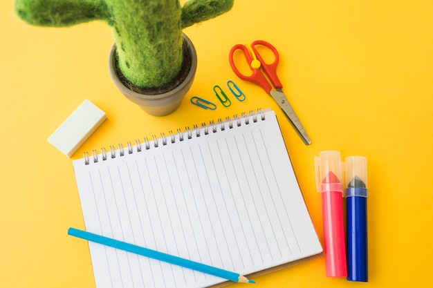 Espacio de trabajo con papelería de cuaderno y cactus