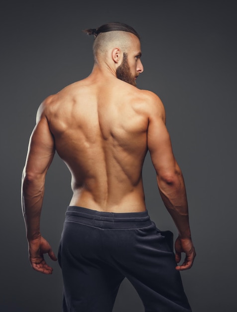La espalda del hombre musculoso sobre un fondo gris.
