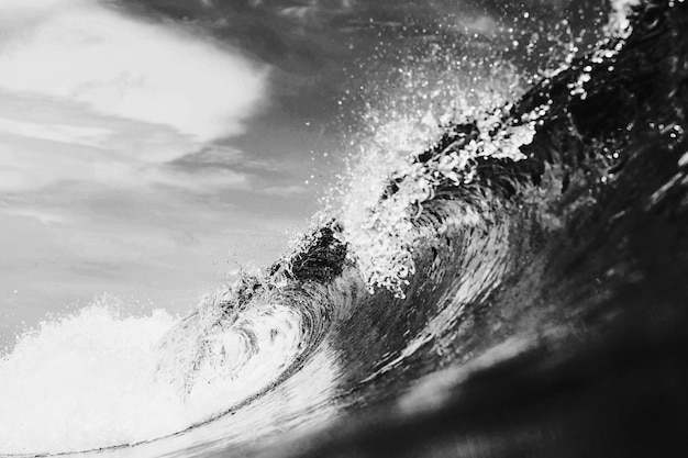 Espectacular paisaje de olas en blanco y negro