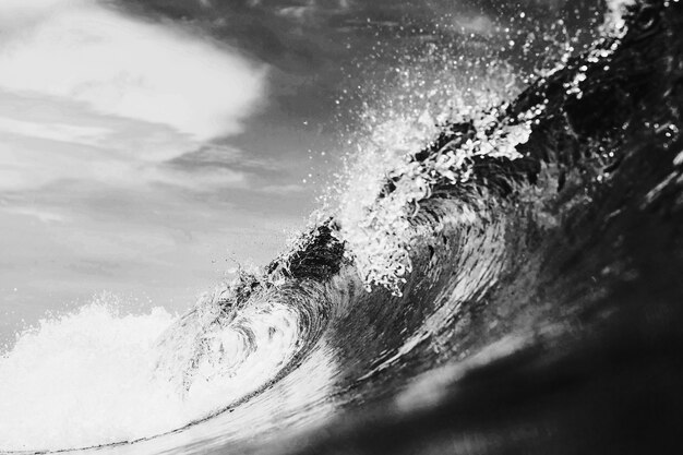 Espectacular paisaje de olas en blanco y negro