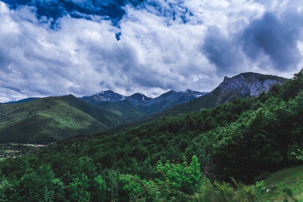 Espectacular vista de un cielo nublado sobre montañas y bosques