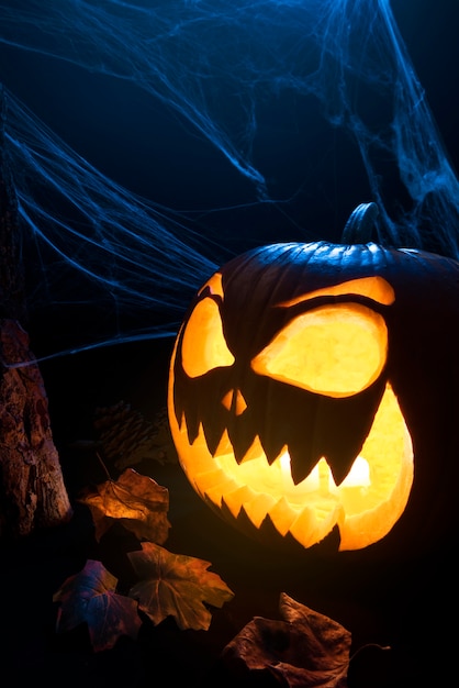 Espeluznante vista lateral de calabaza y telaraña de halloween