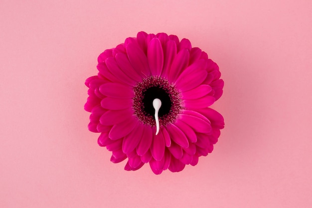 Espermatozoides laicos planos y flor rosa.