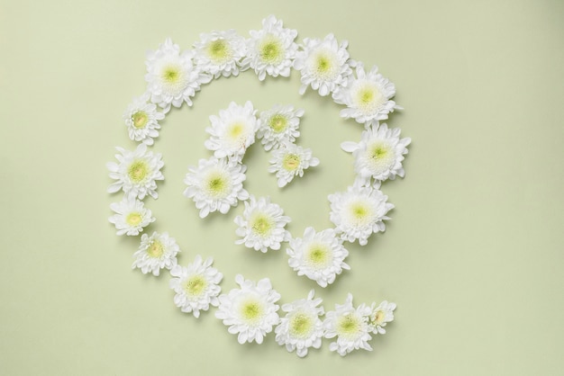 Foto gratuita espiral de cabezas de flores