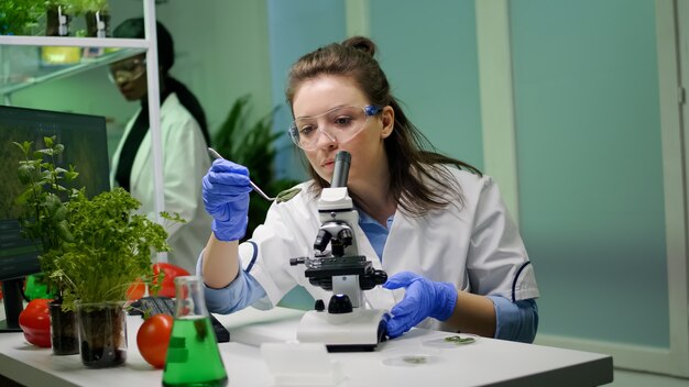 Esplecialista biólogo tomando con pinzas muestra de hoja verde