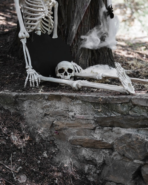 Esqueleto con la cabeza desconectada sentado en el bosque