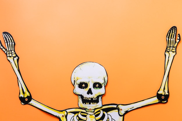 Foto gratuita esqueleto de cartón de halloween