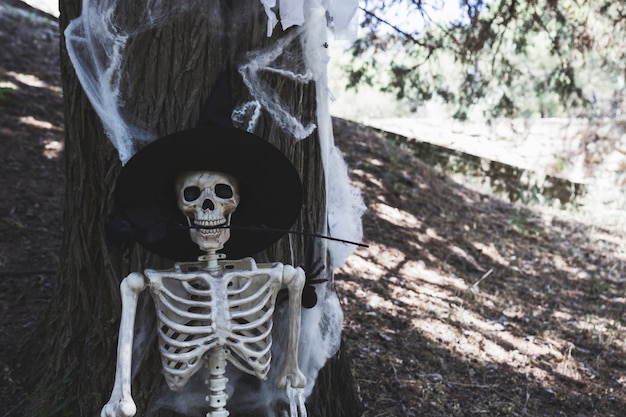 Foto gratuita esqueleto con sombrero de bruja apoyado en el árbol y sosteniendo rosa en los dientes