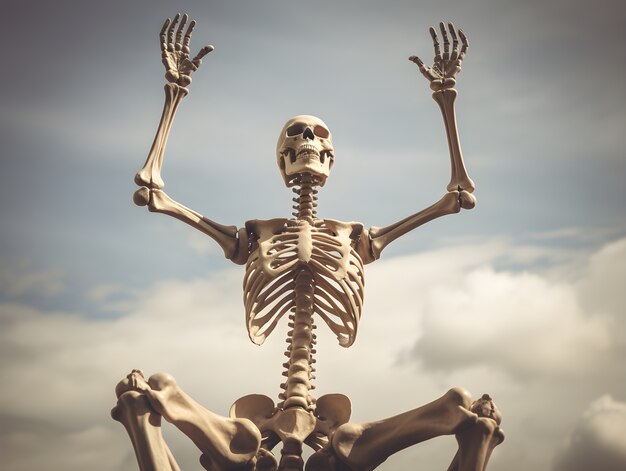 Esqueleto sonriente al aire libre