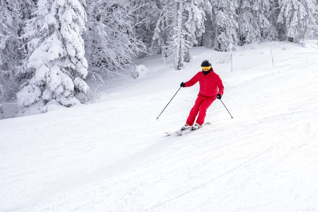 Esquiador en traje rojo esquiando por la pendiente cerca de los árboles