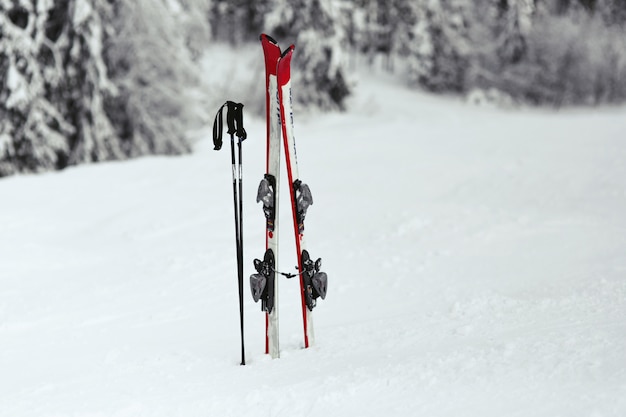 Foto gratuita esquís rojos y blancos ponen en la nieve en el bosque