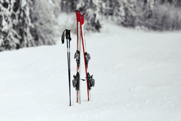 Esquís rojos y blancos ponen en la nieve en el bosque