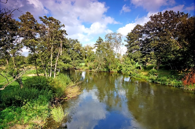 Estanque bonito con el cielo reflejado