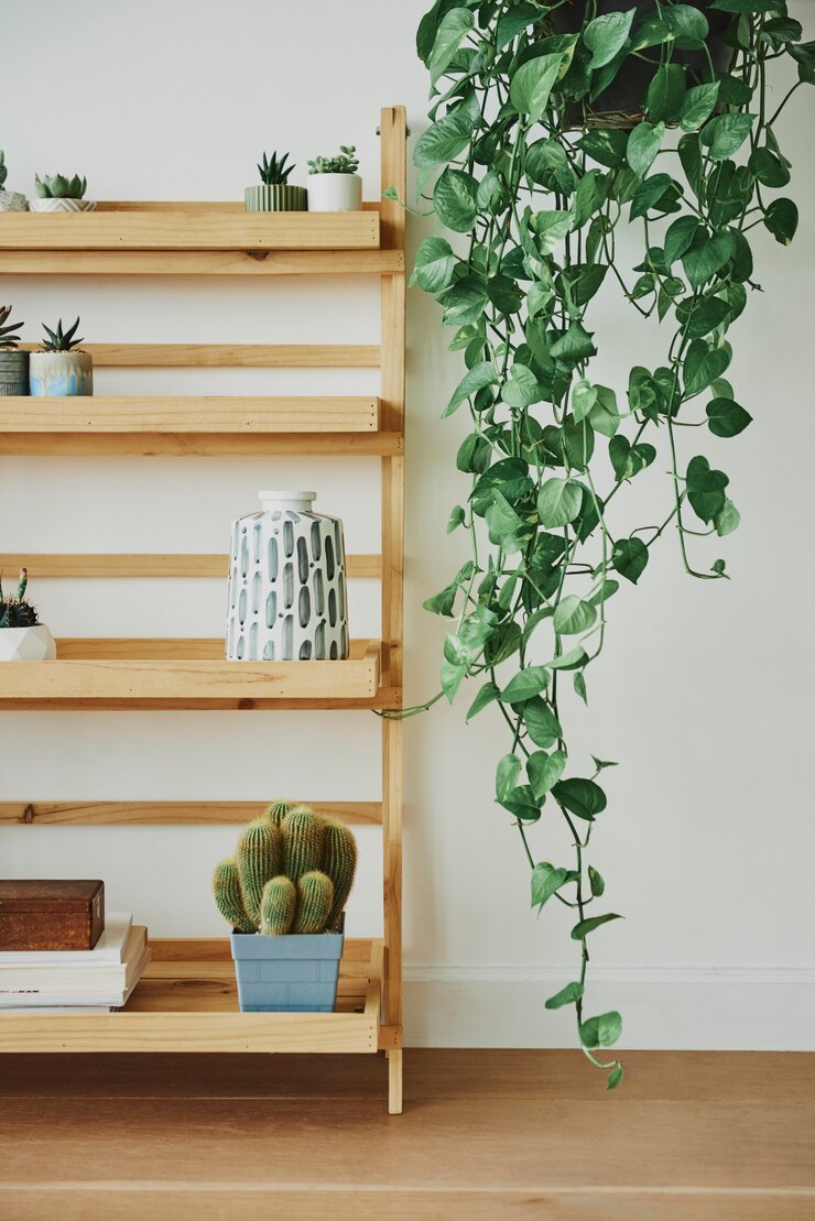 Foto gratuito estante de madera para plantas con plantas mixtas
