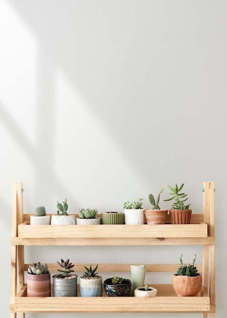 Estante de la planta de madera contra una pared en blanco