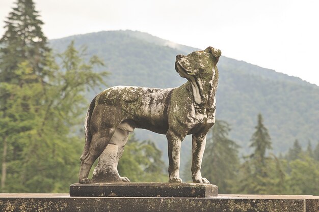 Estatua antigua de perro