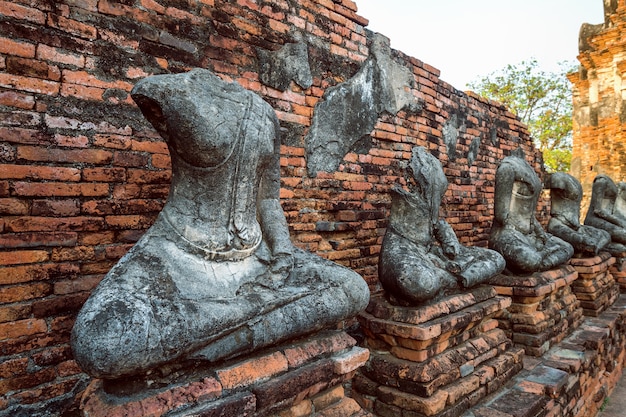 Estatua de Buda en el parque histórico de Ayutthaya, templo budista Wat Chaiwatthanaram en Tailandia.