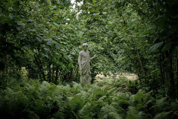 Estatua en un parque natural