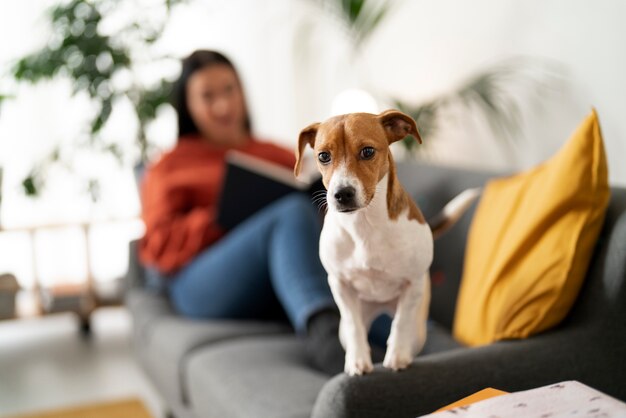 Estilo de vida de mascotas junto con el propietario.